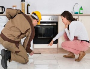 Pest Control for Homeowners
