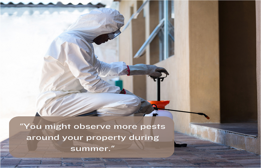 Unveiling the Summer Pest Invasion: 5 Key Factors Behind Increased Pest Activity