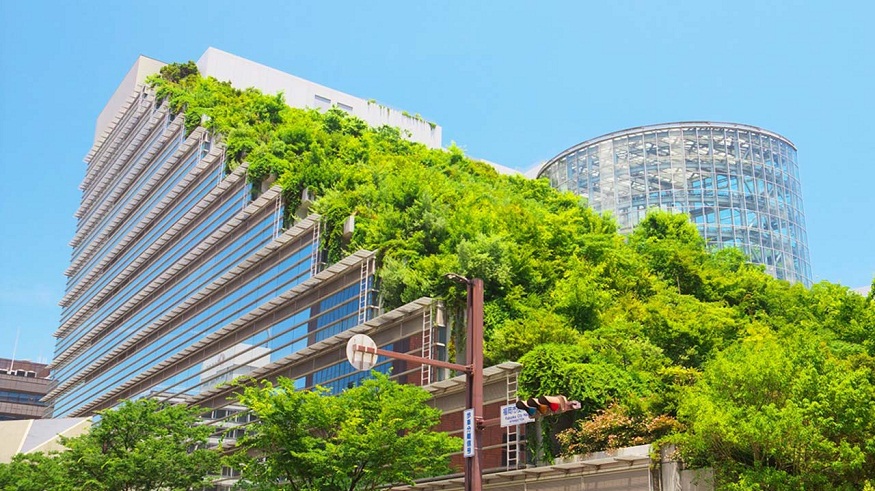 Embracing Green Building: Building a Sustainable Future, Brick by Brick