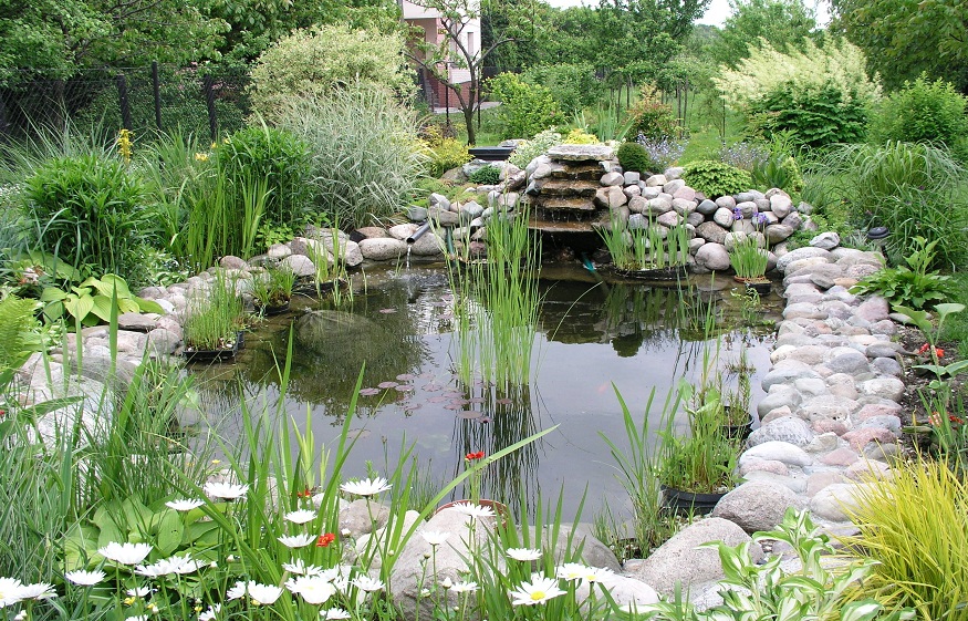 How to Choose the Best Pond Filter for Your Garden Pond